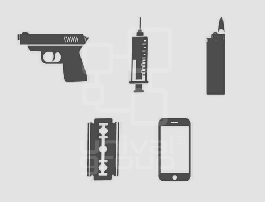 DETECTED CONTRABANDS
